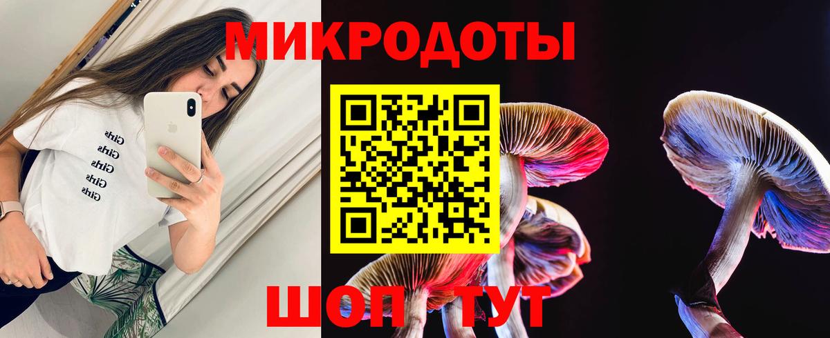 Петропавловск-Камчатский  Галлюциногенные грибы GOLDEN TEACHER  Псилоцибиновые грибы Psilocybe  Вход с VPN 